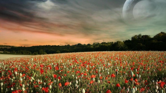 非计算机专业，好奇为什么会出现&ldquo;程序依赖bug运行&rdquo;的情况？